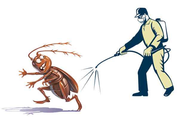 Cockroach Control in Delhi