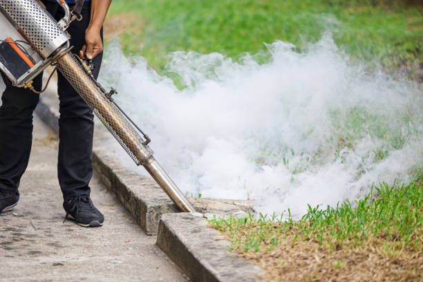 Mosquito Control in Delhi